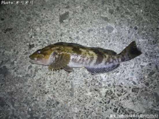 �����ʥ�