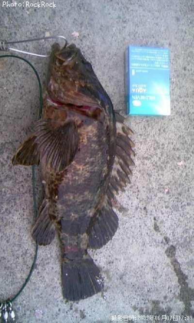 �٥å�������