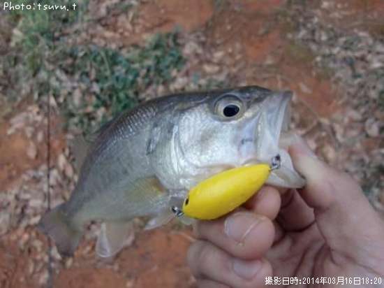 �֥�å��Х�