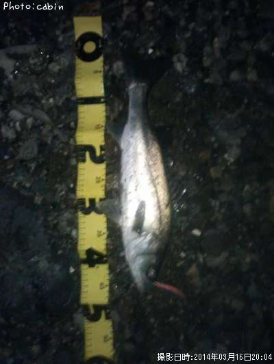 �����Х�