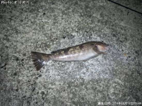 �����ʥ�