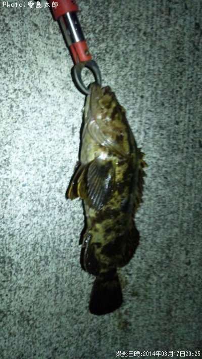 �٥å�������