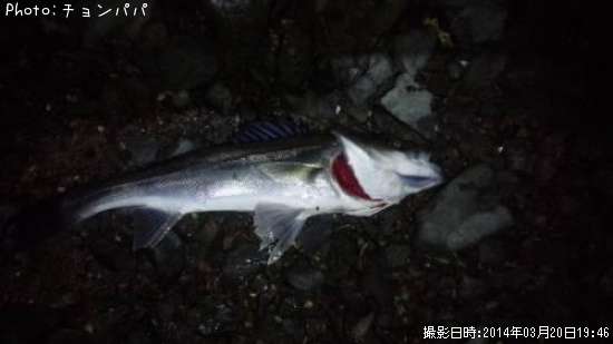 �����Х�