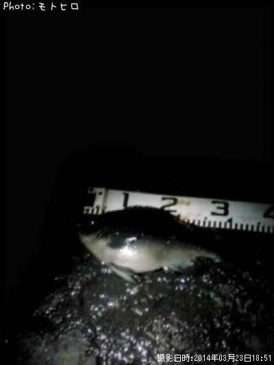 �����᥸��