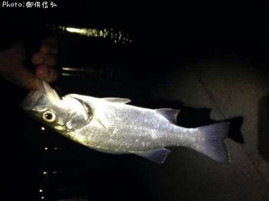 �����Х�