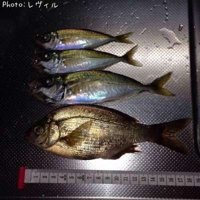 ���ߥ��ʥ�