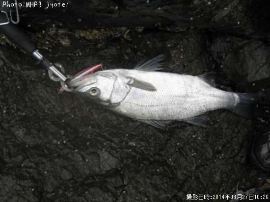 �ҥ饹����