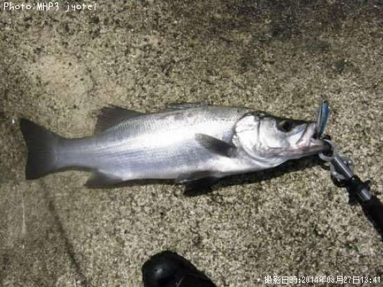 �ҥ饹����