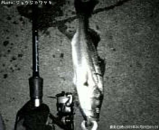 �����Х�