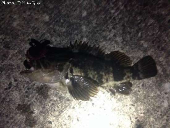 �٥å�������