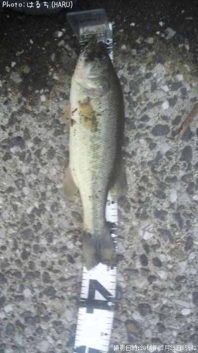 �֥�å��Х�