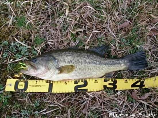 �֥�å��Х�