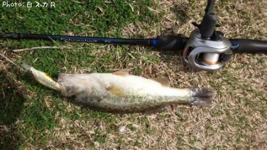 �顼���ޥ����Х�