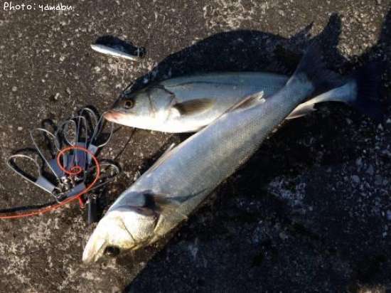 �����Х�