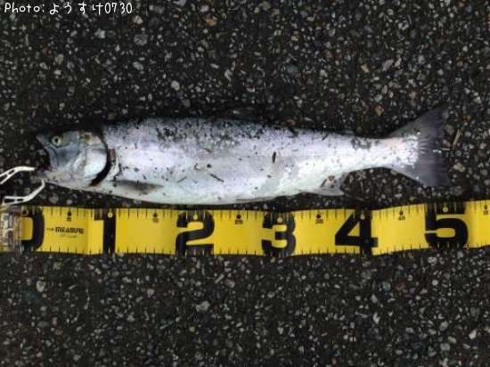 ������ޥ�