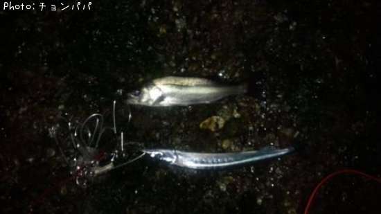 �����Х��������