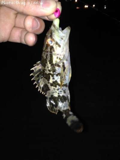 �����Υ���Х�