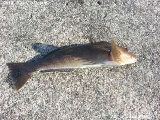 �����ʥ�