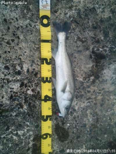 �����Х�