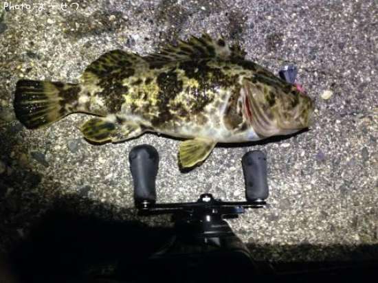 �����Υ���Х�