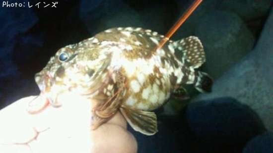 �������������Υ�