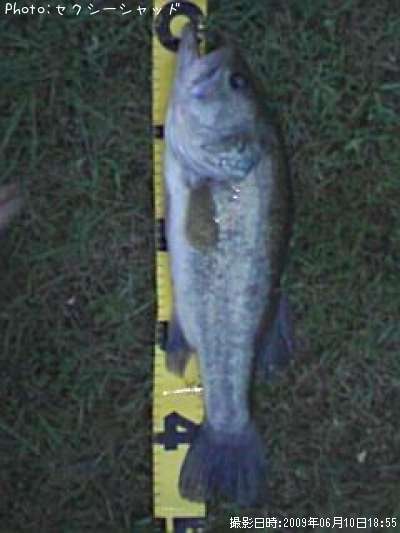 �֥�å��Х�