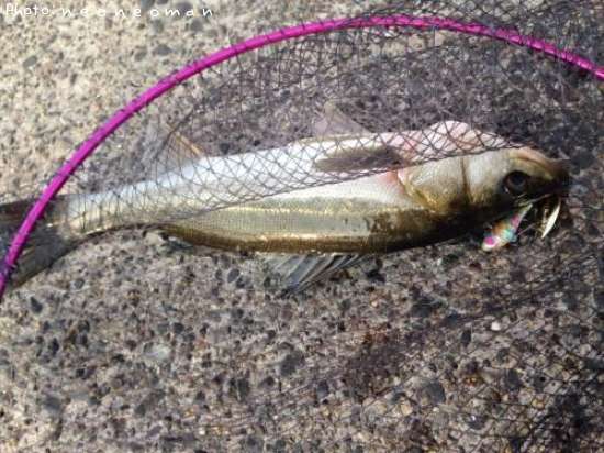 �����Х�