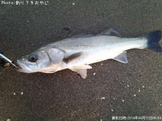 �����Х�