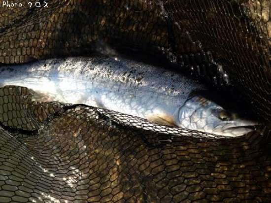 ������ޥ�