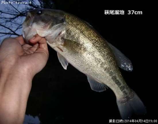 �֥�å��Х�