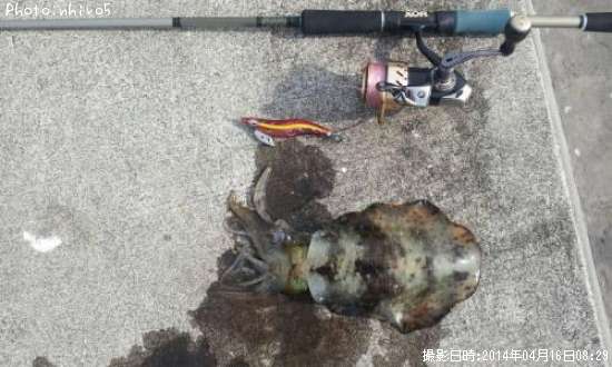 �����ꥤ��