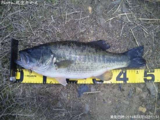 �֥�å��Х�