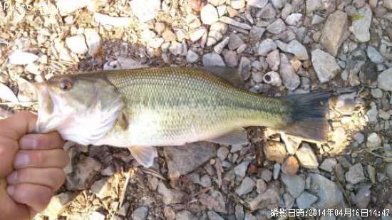 �֥�å��Х�