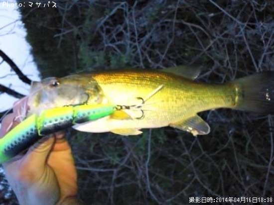 �֥�å��Х�