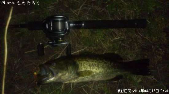 �֥�å��Х�