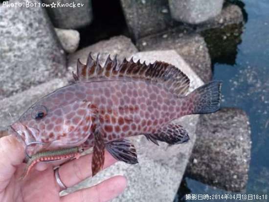 �������ϥ�