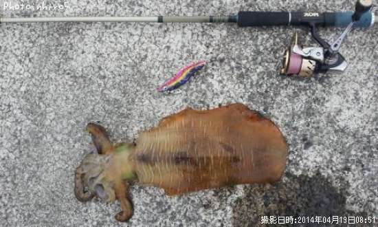 �����ꥤ��