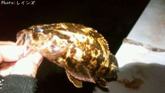 �����Υ���Х�