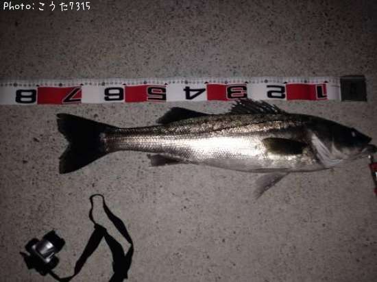 �����Х�