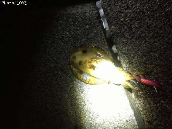 �����ꥤ��