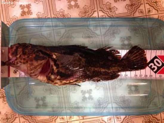 �����Υ���Х�