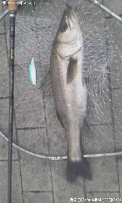 �����Х�