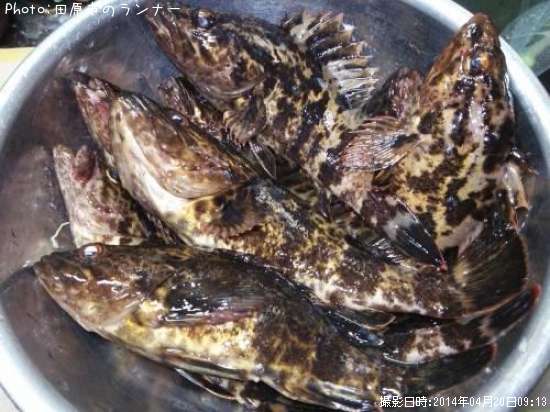 �����Υ���Х�