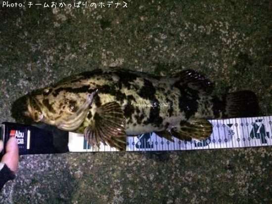 �����Υ���Х�