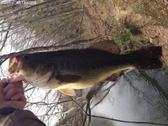 �֥�å��Х�