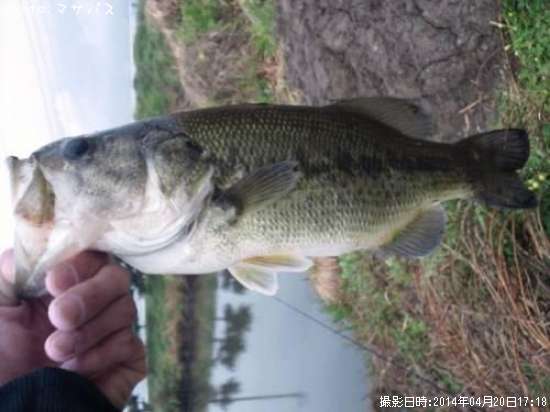 �֥�å��Х�