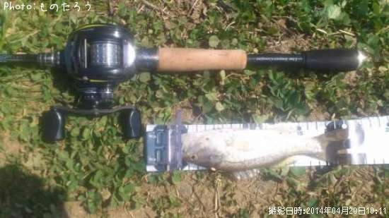 �֥�å��Х�