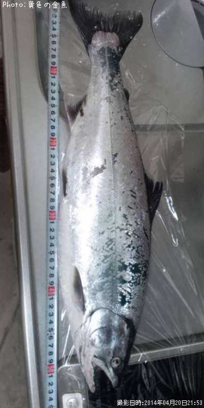 ������ޥ�