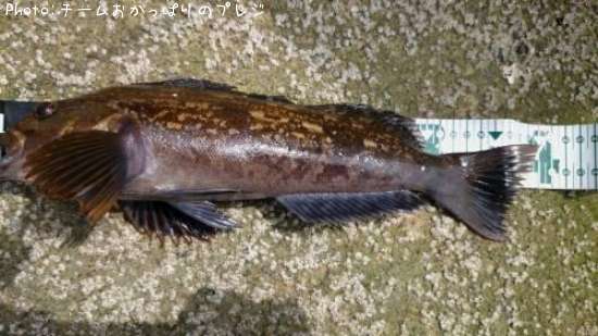 �����ʥ�