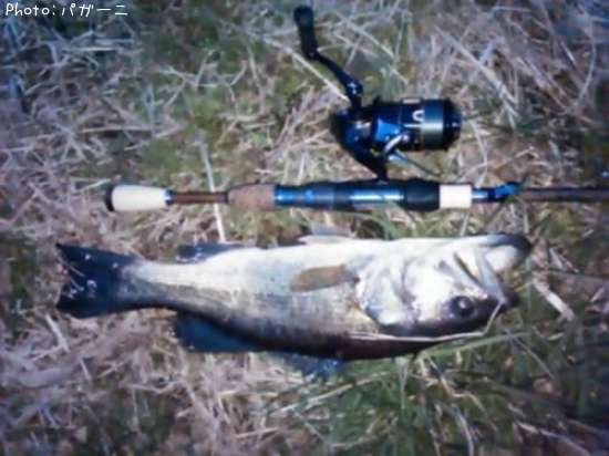 �֥�å��Х�